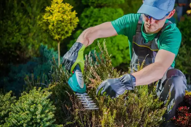 landscaping services Larchmont